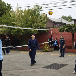 Día de la Actividad Física